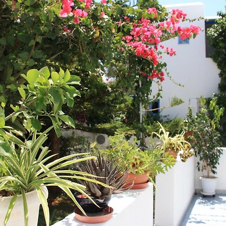 Loukia Apartments & Studios Naousa Exterior foto